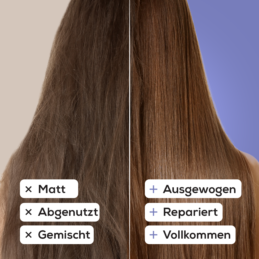 Festes Shampoo Argan & Lavendel 50 g – Probiergröße