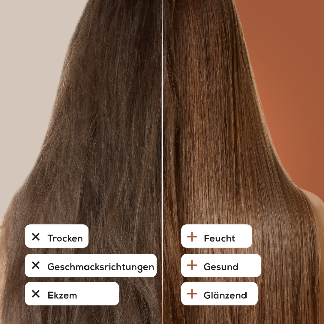 Festes Shampoo Terebinthe & Kakao 100 g – mit natürlichem Luffa