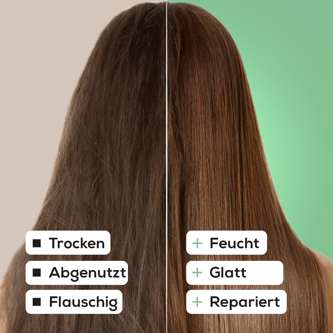 Festes Shampoo mit Sheabutter und Lorbeerblatt 50 g – Probiergröße